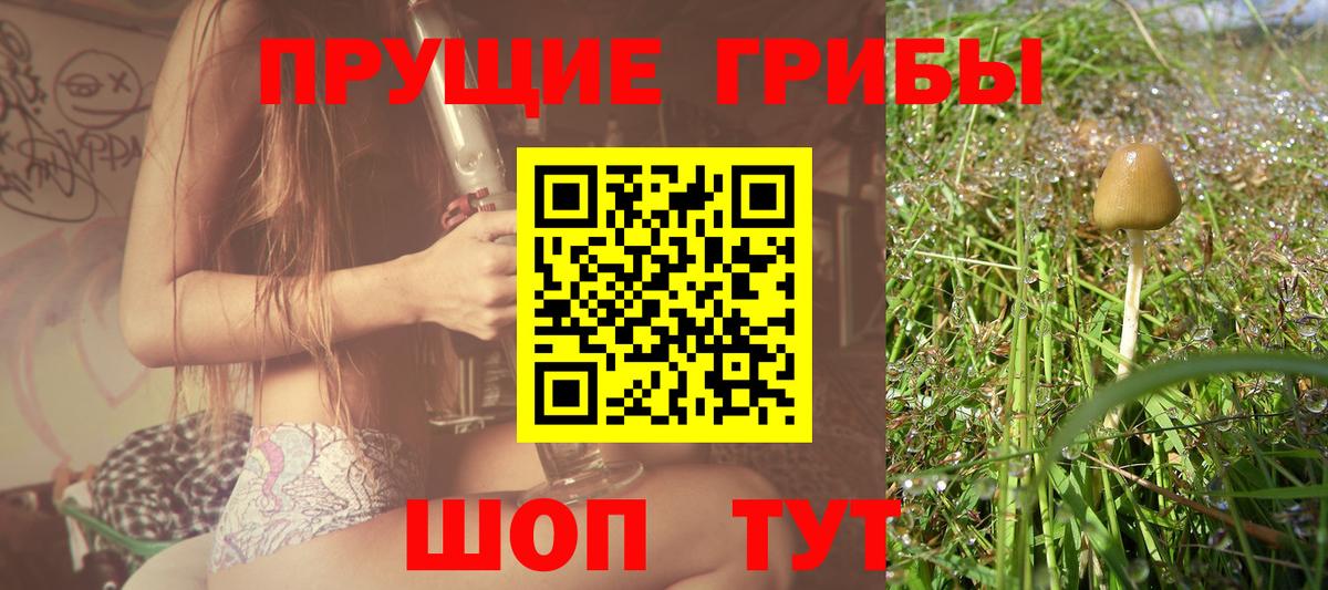 Галлюциногенные грибы ЛСД Киржач