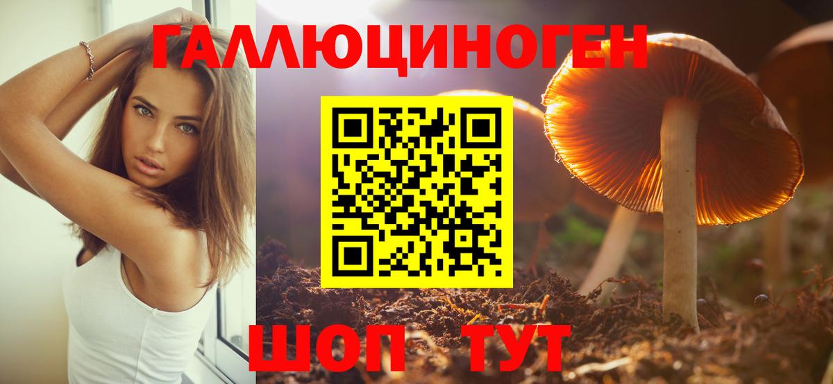 купить наркоту  Вход с VPN  Киржач  Псилоцибиновые грибы Psilocybine cubensis 