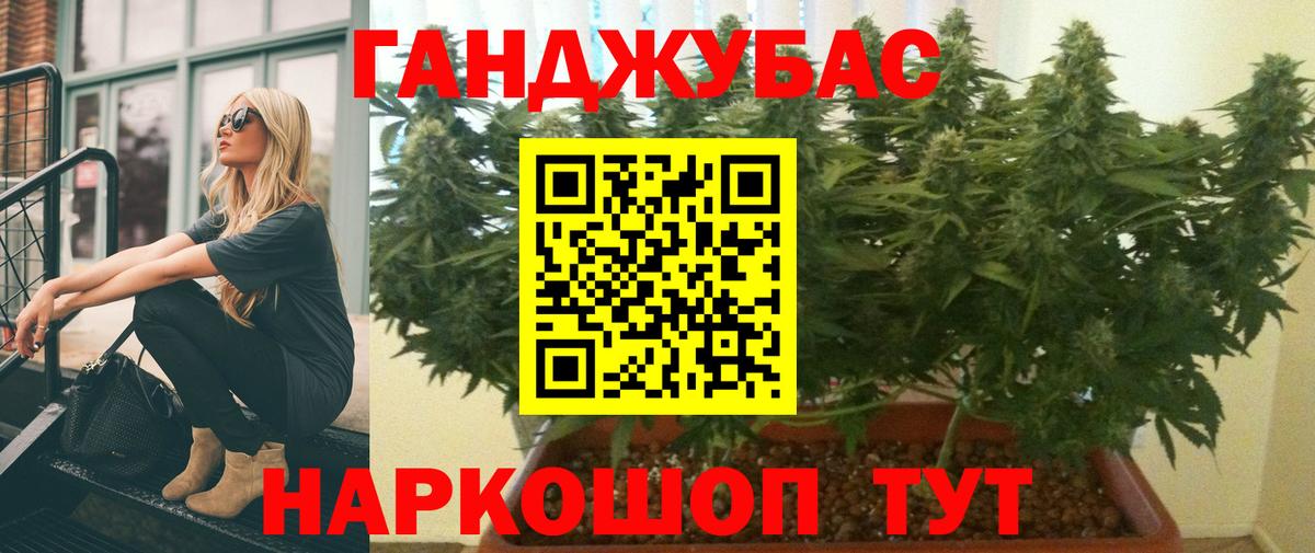 Киржач  Каннабис конопля  Бошки марихуана план  Вход с VPN 